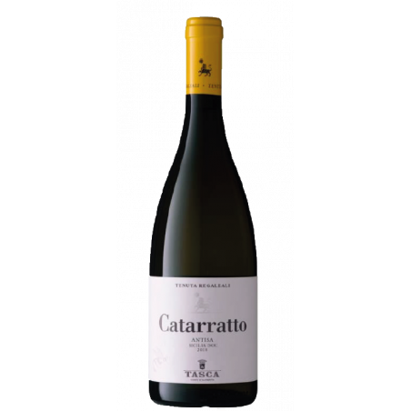 regaleali-cataratto-antisa-cl75