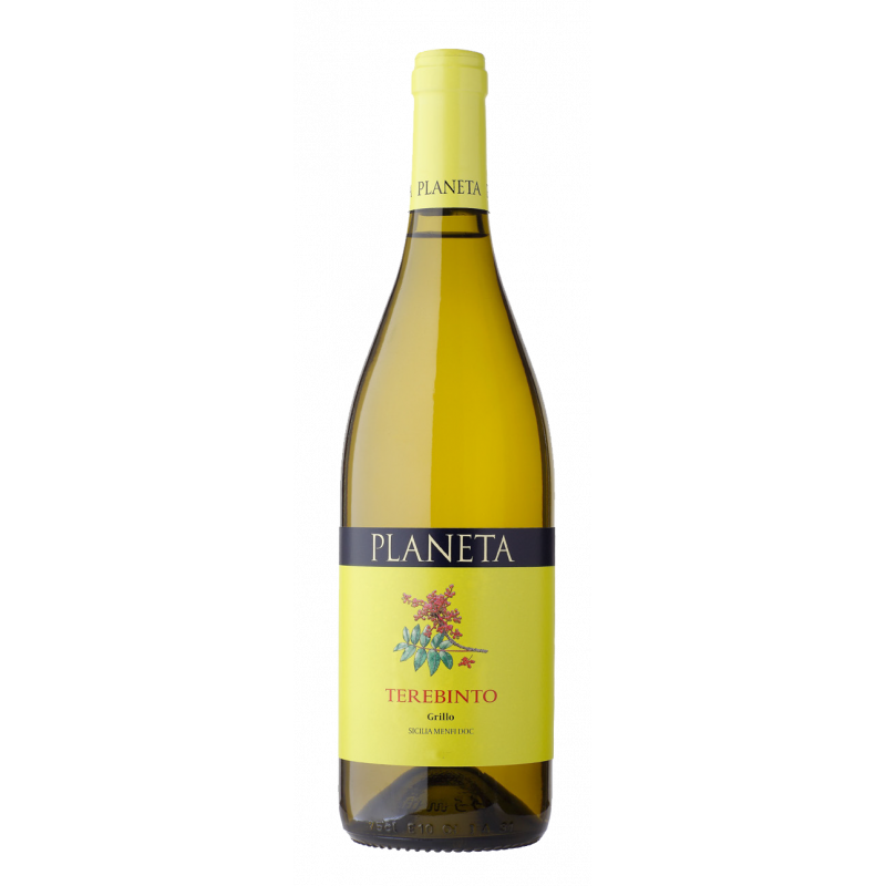 planeta-terebinto-grillo-cl75